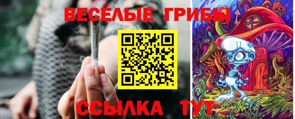 Псилоцибиновые грибы ЛСД Татарск