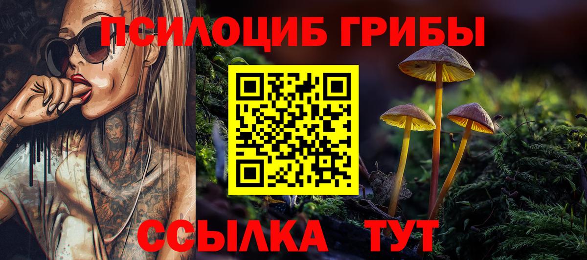Татарск  Галлюциногенные грибы GOLDEN TEACHER  цены наркотик  Вход с VPN  Псилоцибиновые грибы Cubensis 