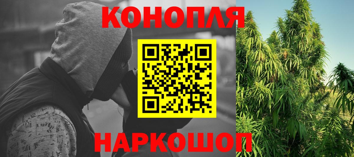 Бошки Шишки планчик  Марихуана OG Kush  Бошки Шишки семена  Вход с VPN  Татарск 